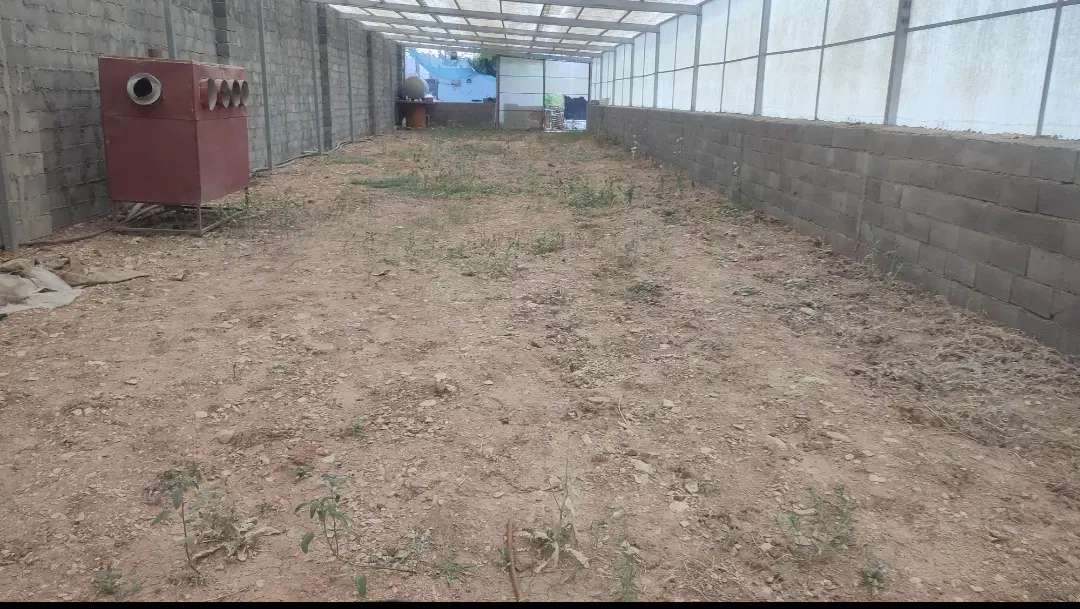 فروش گلخانه