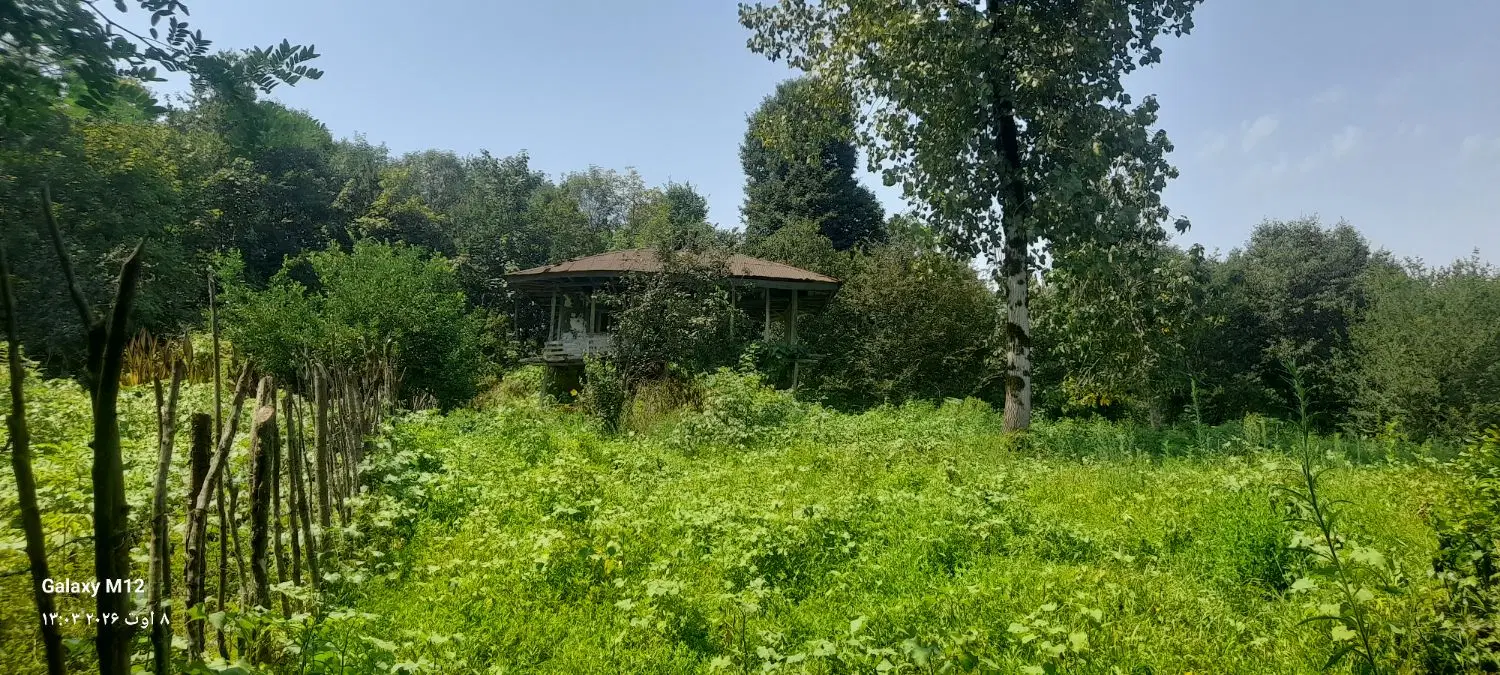 خانه و محوطه در دل طبیعت