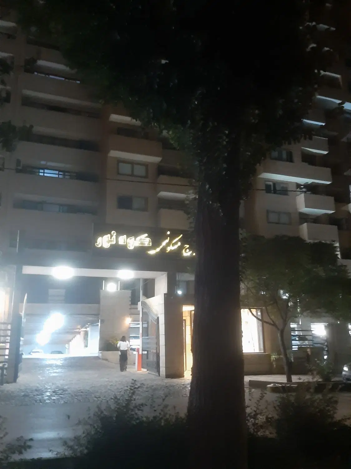 ۱۶۷ کوه نور باغ زیار