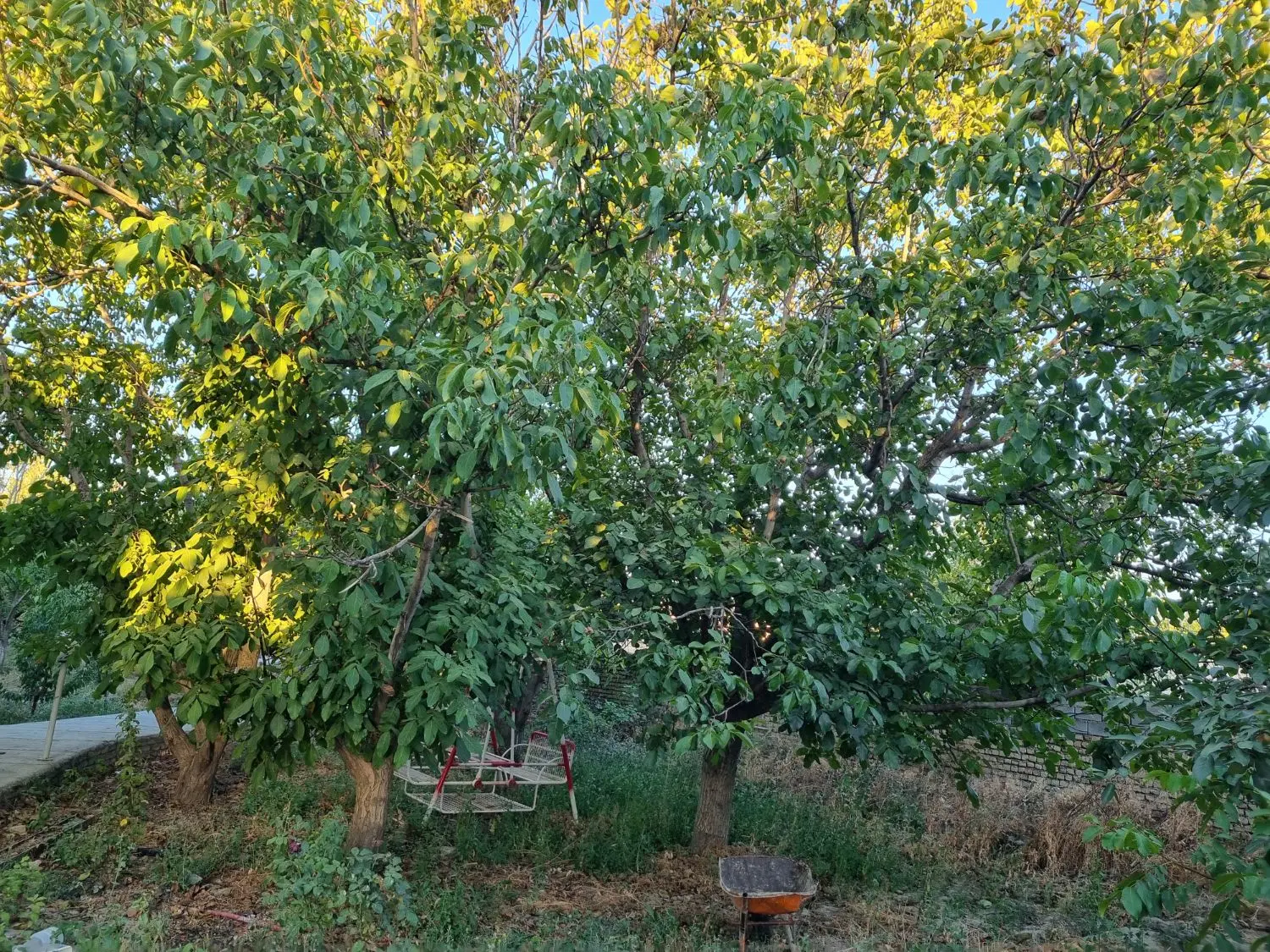 باغ و ویلای تازه ساز