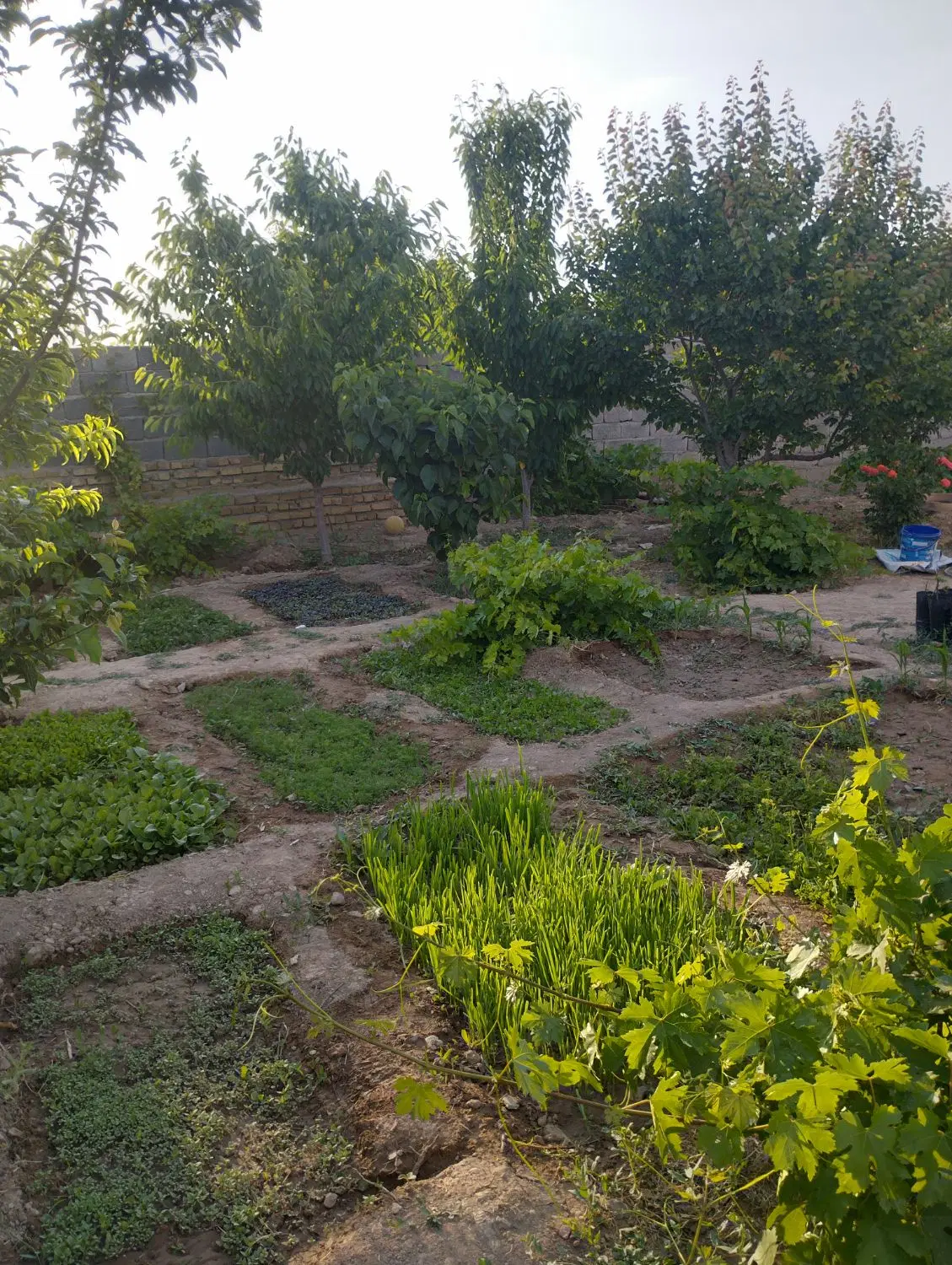 خانه ویلایی