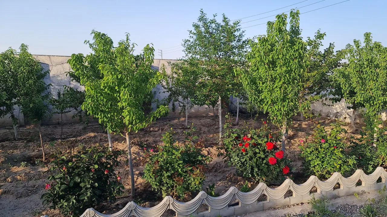 یک قطعه زمین باغ ویلایی 1200 متری