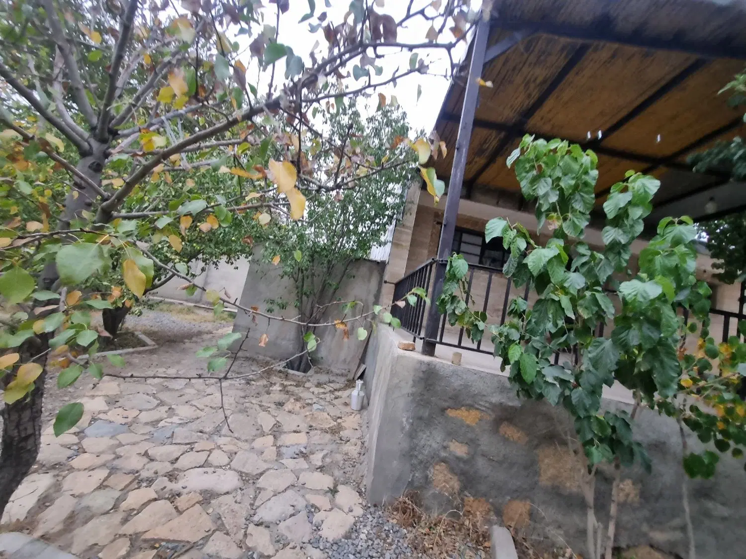 باغ دوهزارمتری اول کنجینه