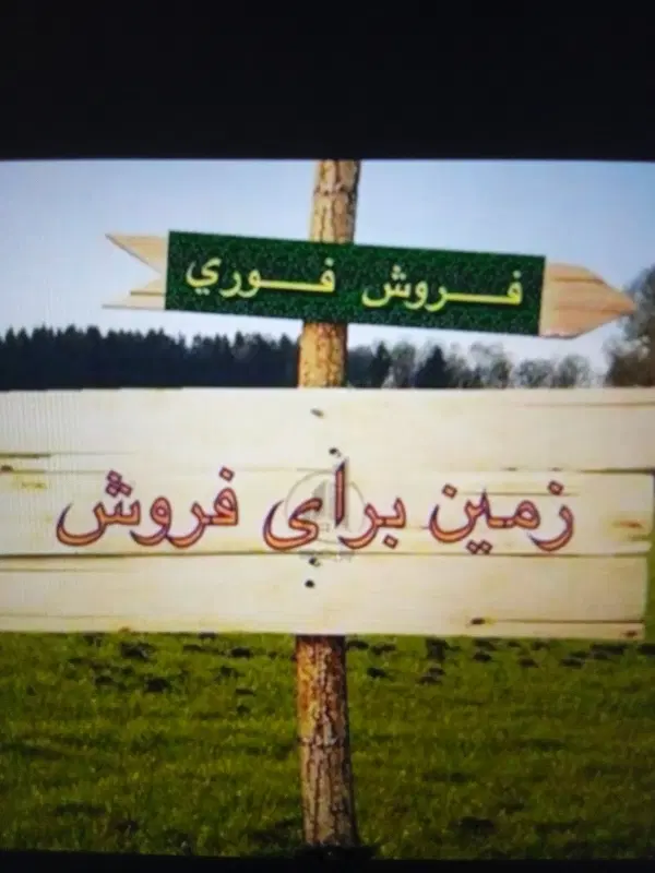 زمین