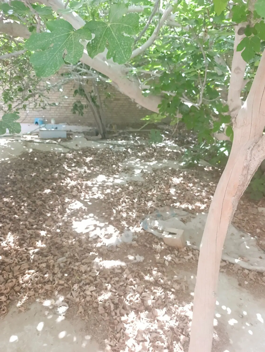 منزل تیرآهنی،ضربی ۲۰۰خیابان مهدی