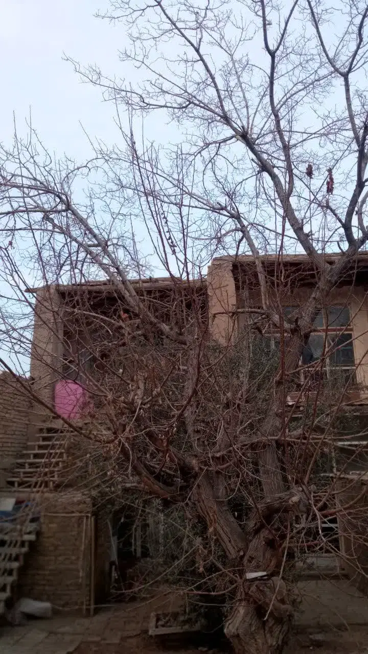 فروش منزل کلنگی
