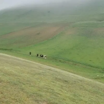 یک سهم زمین مسکونی از تعاونی شهرداری