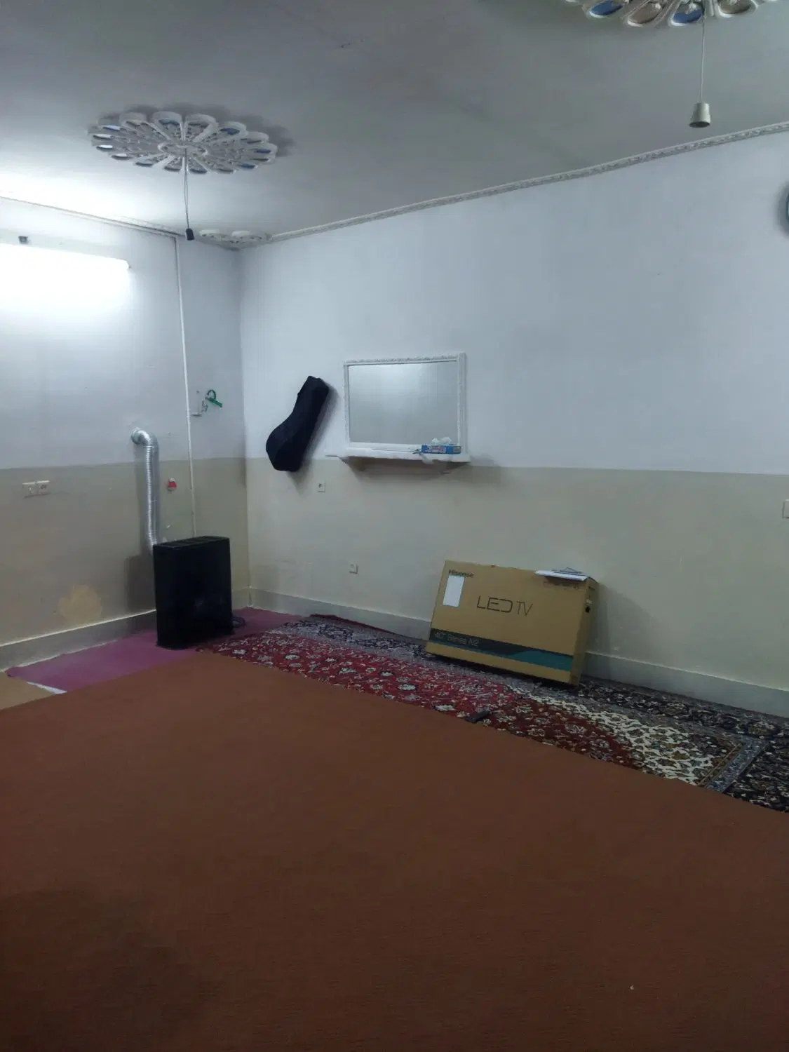 همخونه خانم
