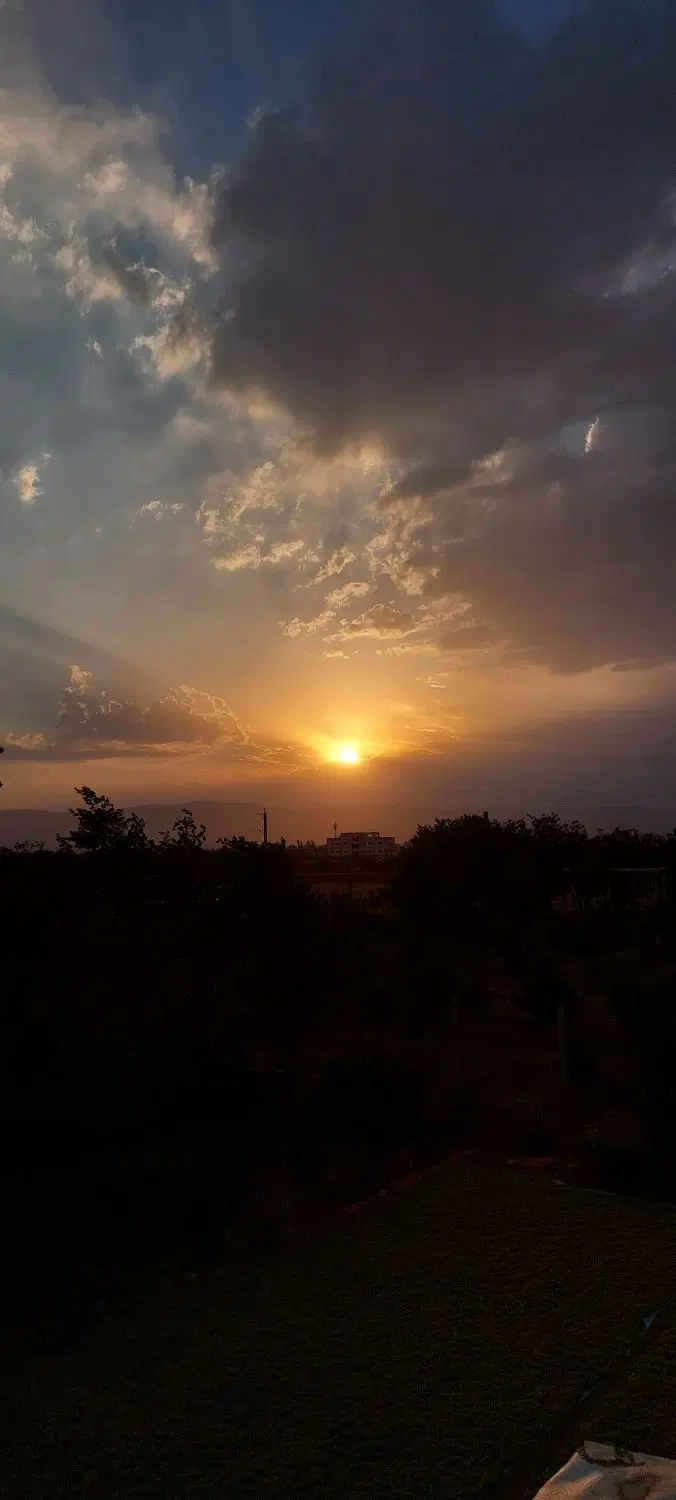 ۳۳۰۰متر باغ میوه