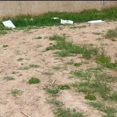 معاوضه زمین با ماشین ۱۱۱