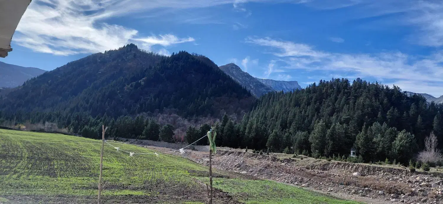 ویلای اجاره ای شبانه