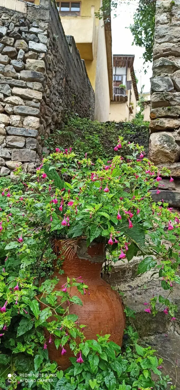 باغ منصوریه