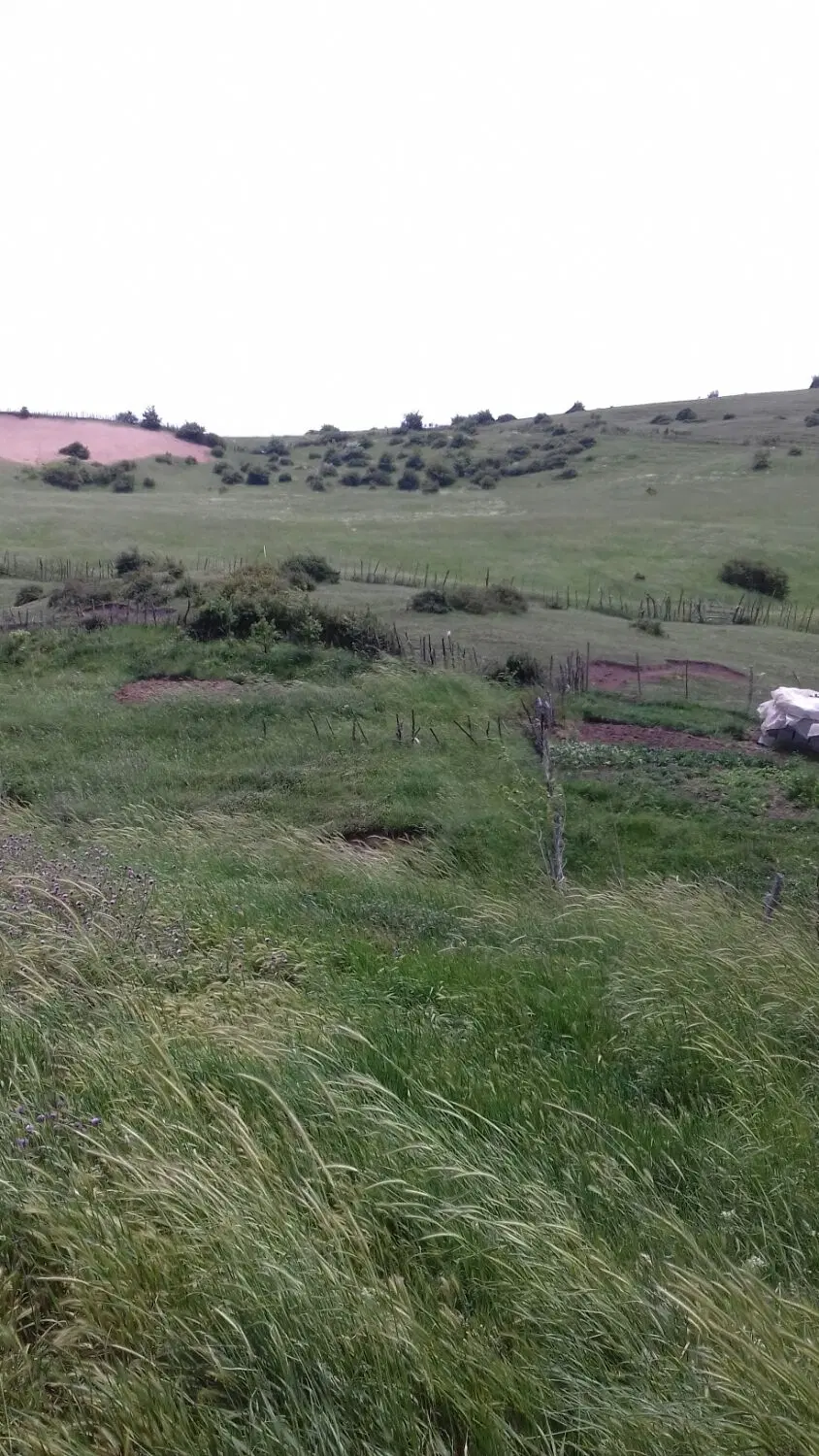 فروش زمین مسکونی در روستای شاه شهیدان