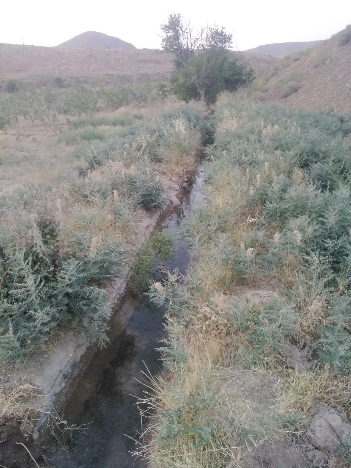 زمین کشاورزی روستای خنامان