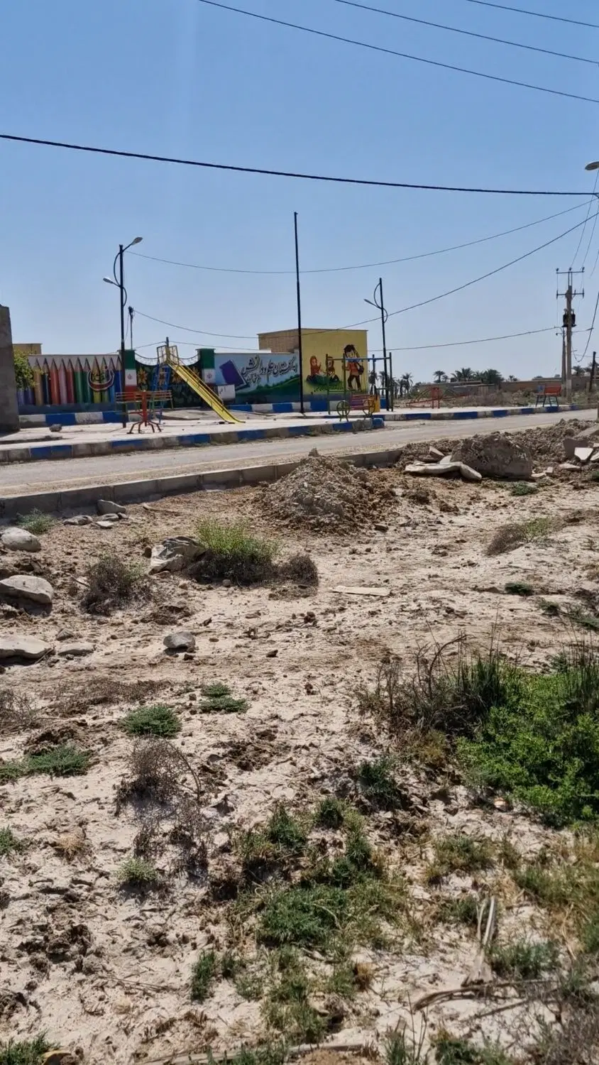 فروش نخلستان