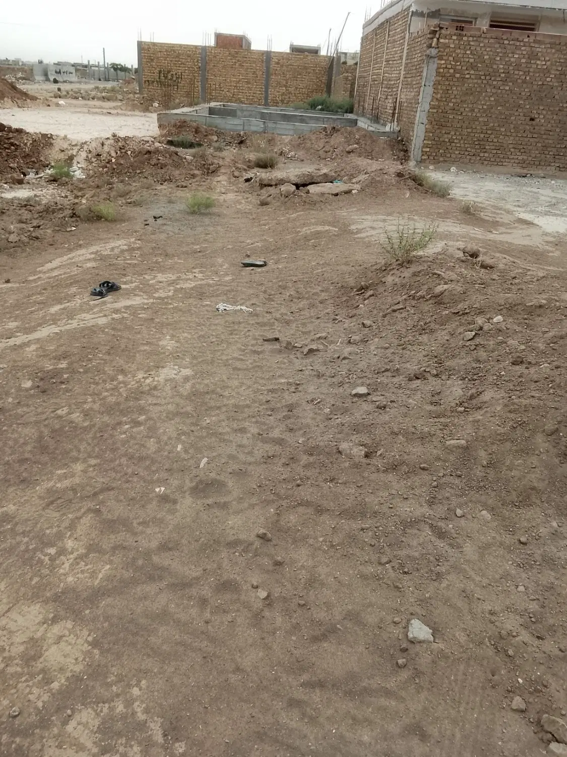 زمین