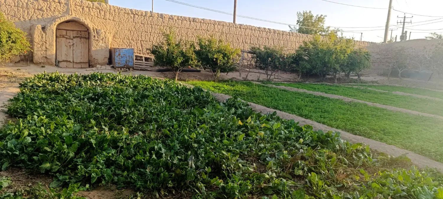 زمین مسکن ملی سه واحدی