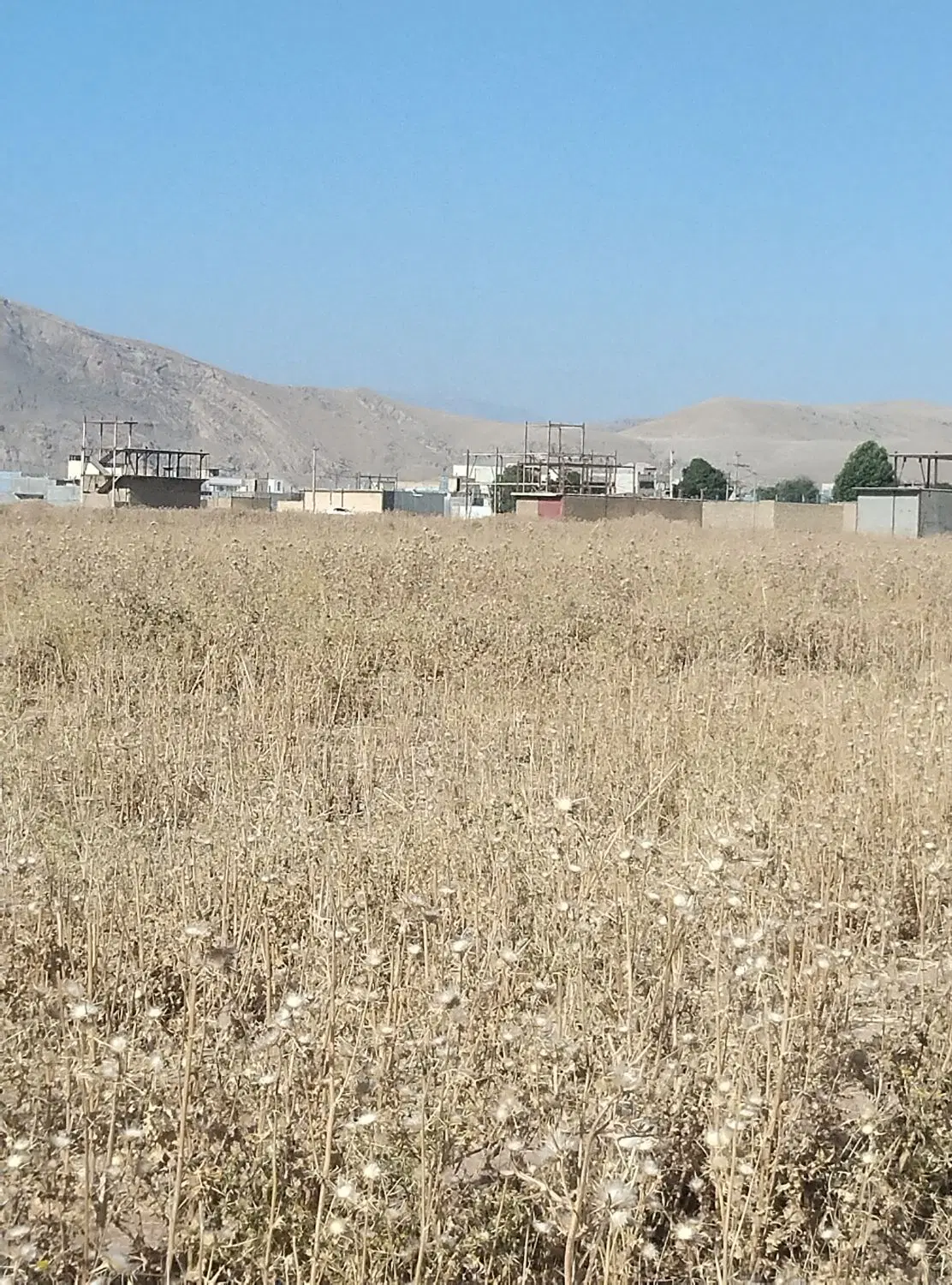 زمین در تلوری