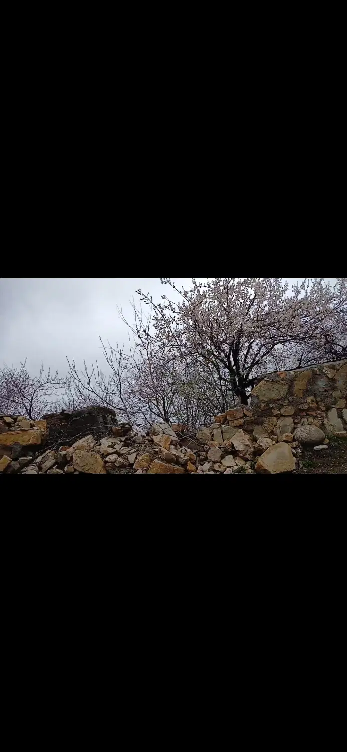 زمین ویلایی