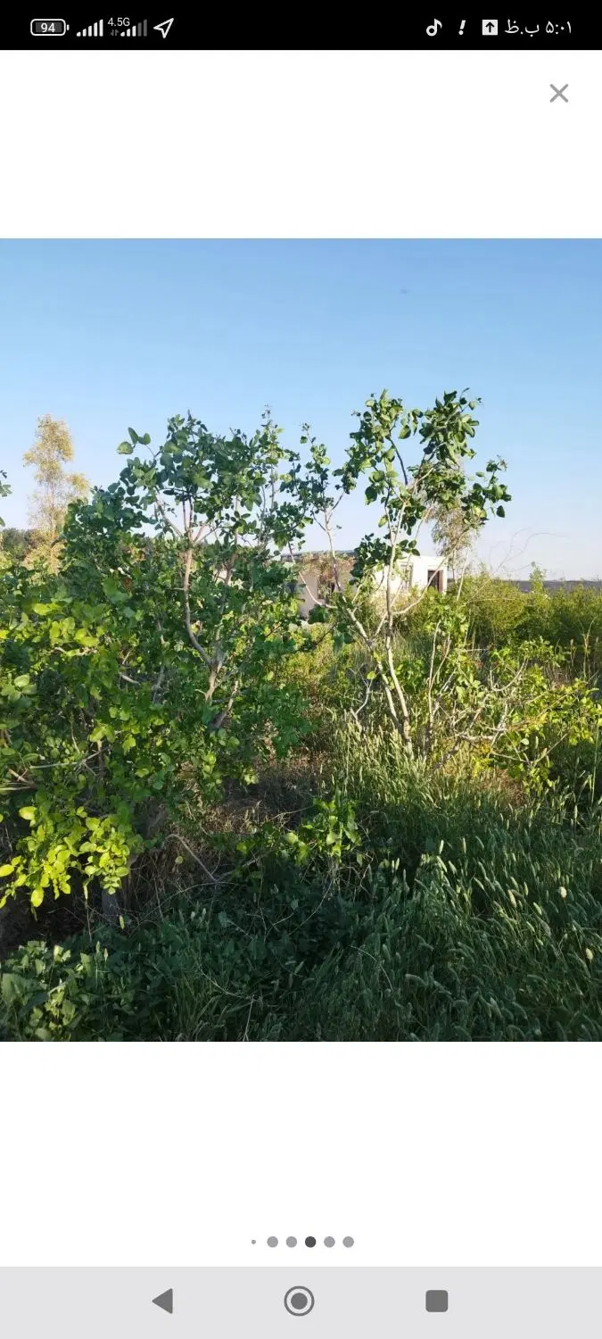 باغچه چهاردیواری تبرعه دار