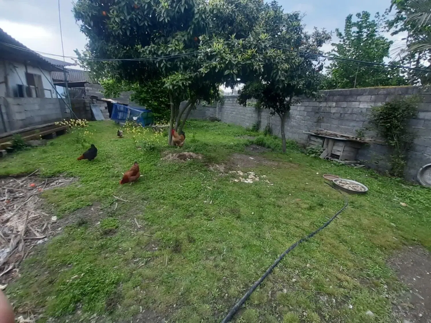 زمین با کاربری مسکونی