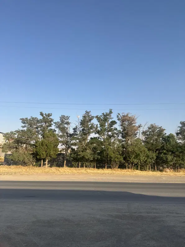 زمین مخصوص ویلا باغ جاده میقان