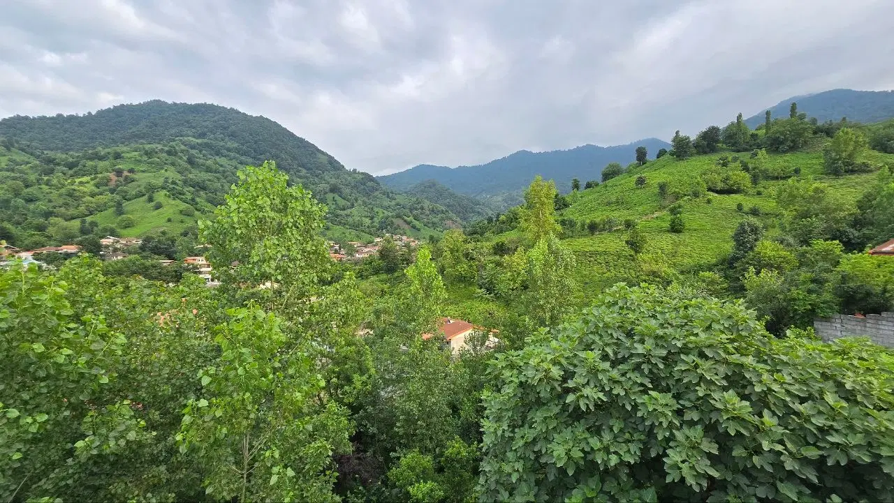 ۳۳۱ متری (پروانه ساخت ، سند تک برگ)