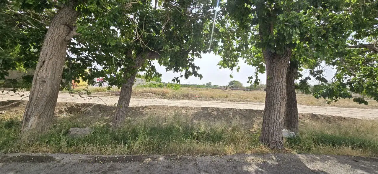 زمین سند دار