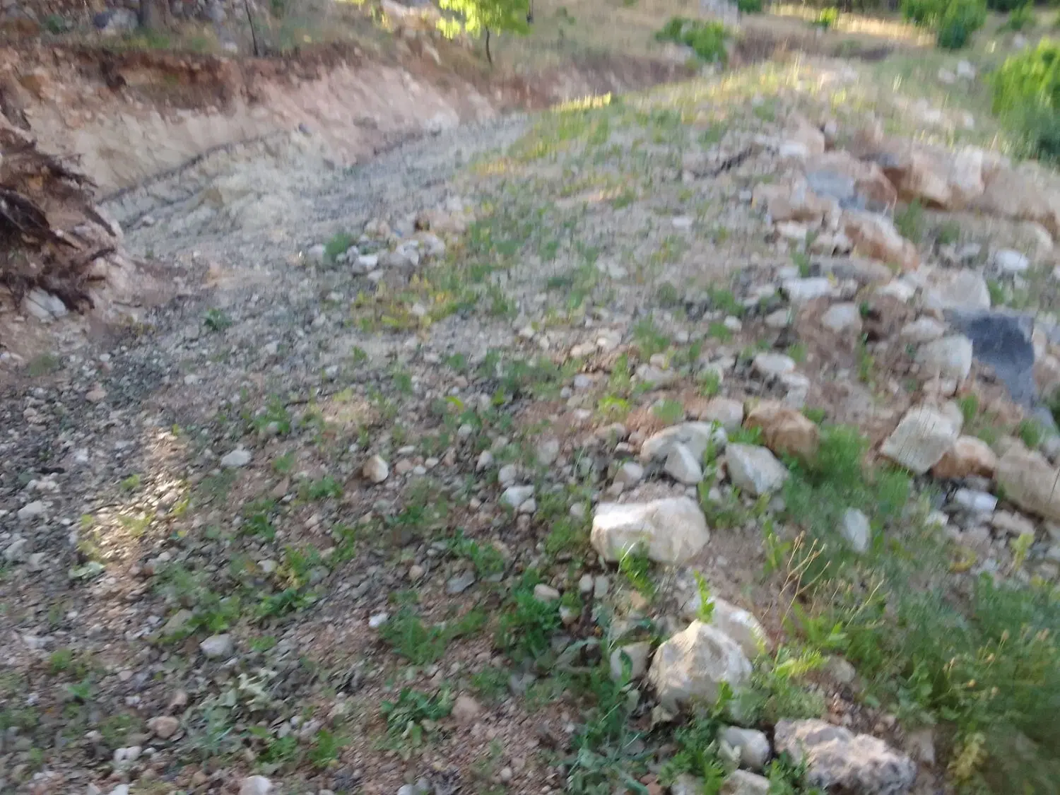 زمین