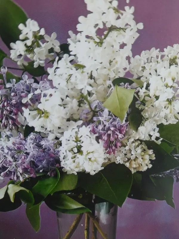 مغازه ترددفوق العاده