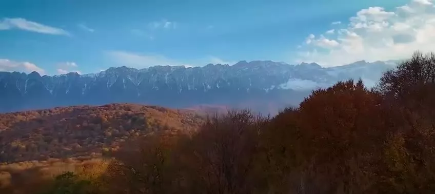 چهارهکتار وسط جنگل بهترین منظرره ایران**سندتک برگ*