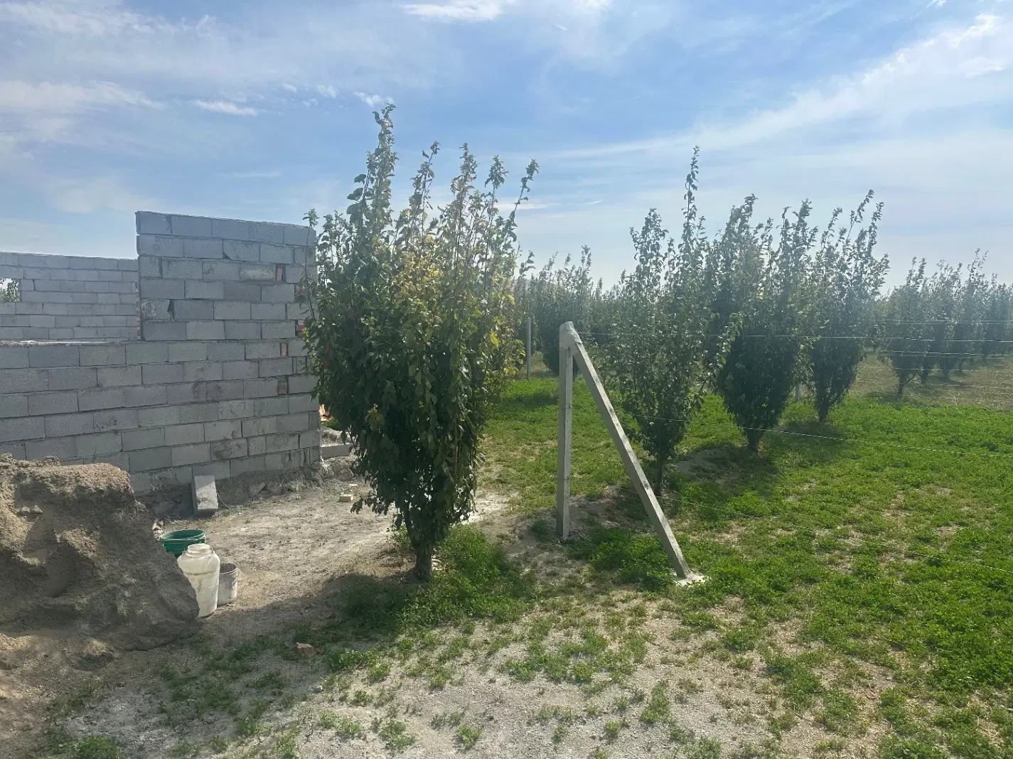 ۵۰۰ متر ویلا باغ در روستای سعیدلو