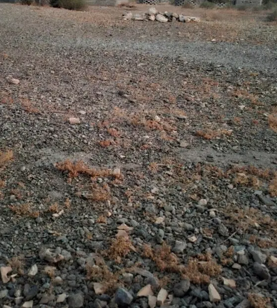 زمین مسکونی ۶۰۰متر