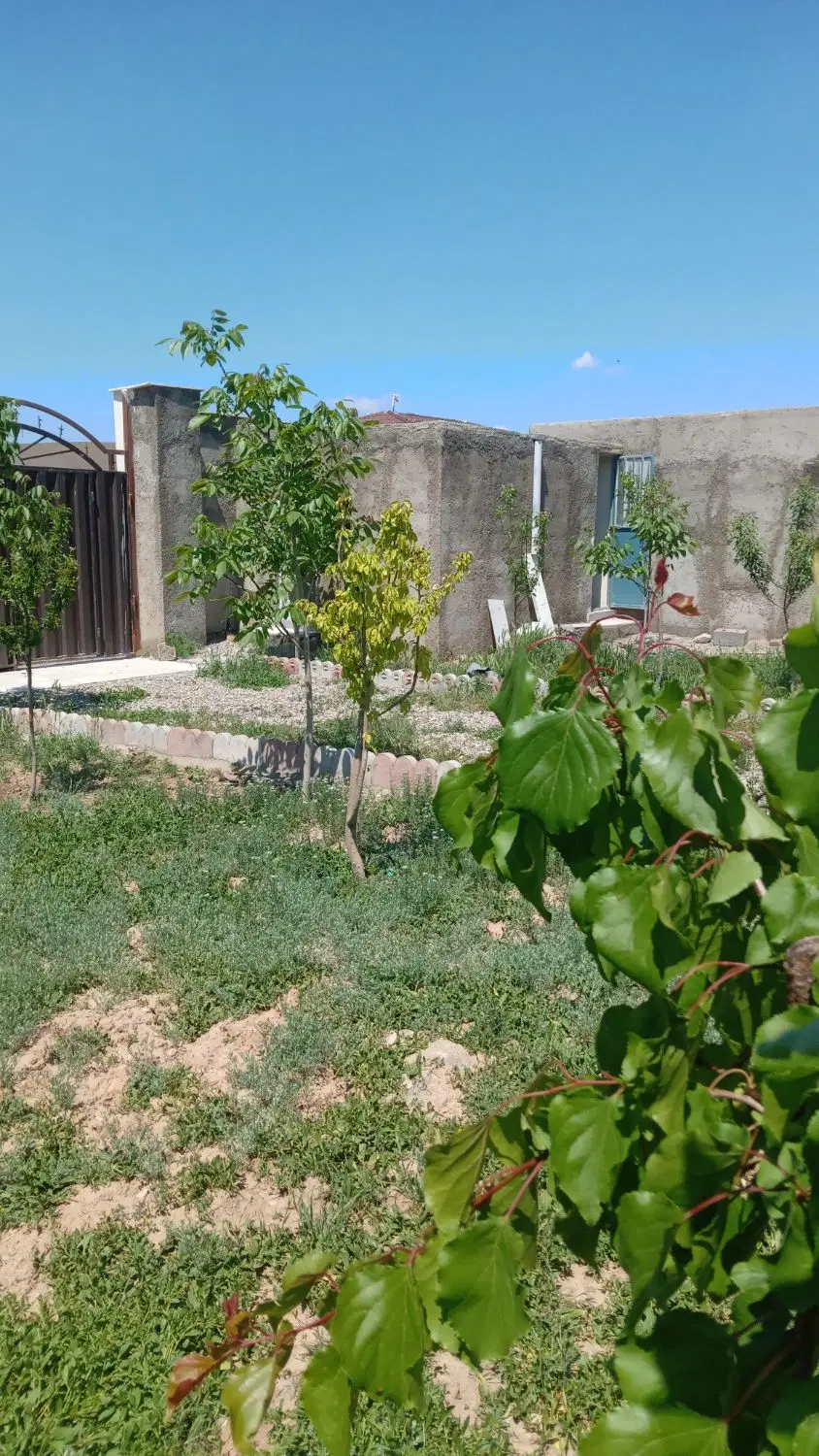 باغچه چهاردیواری