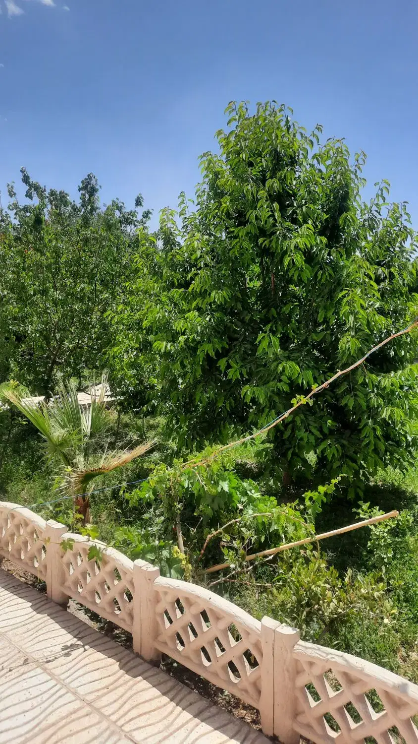خونه باغ بی نظیر