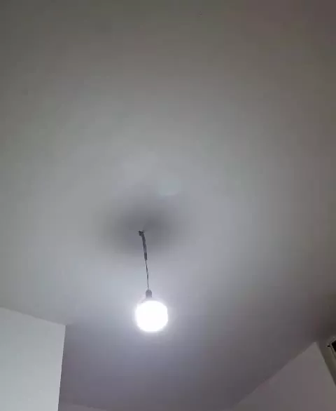 همخونه خانم