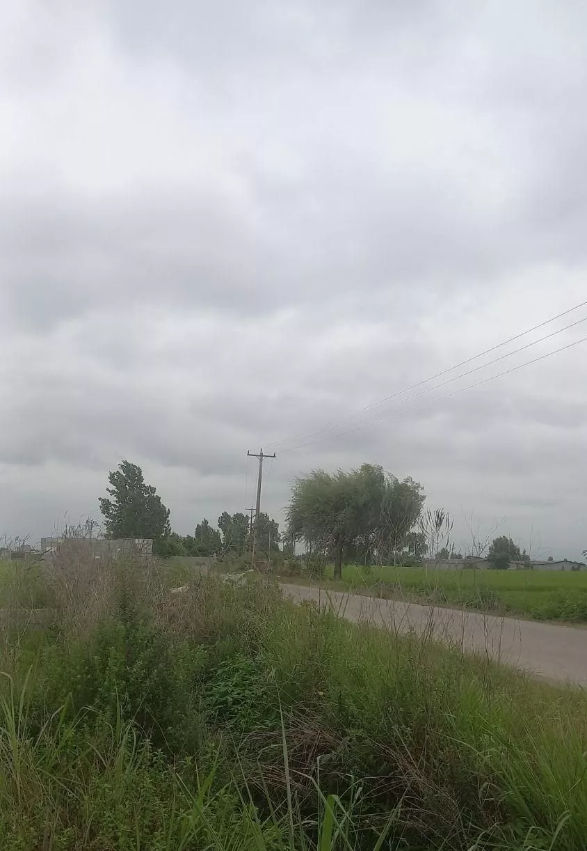 ۲۵۰متر شهرکی حربده