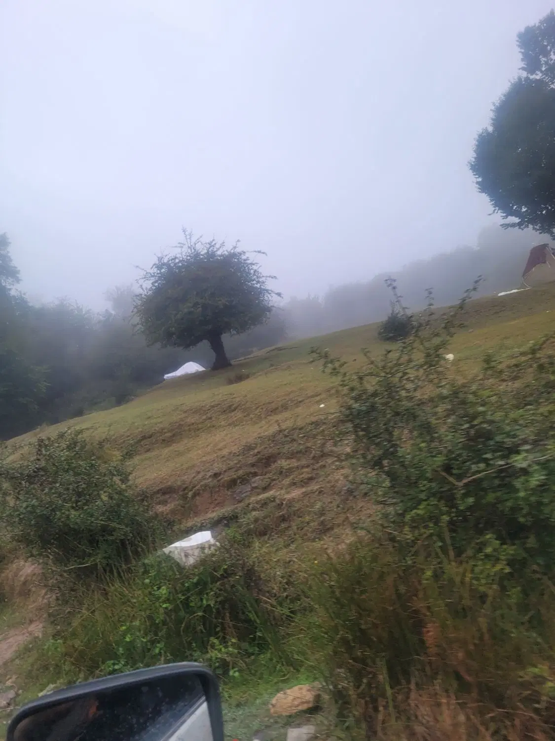زمین