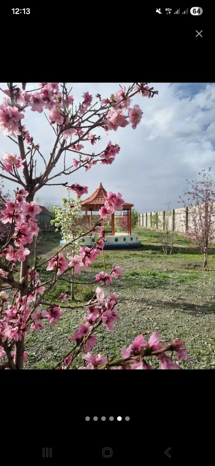 باغ و زمین