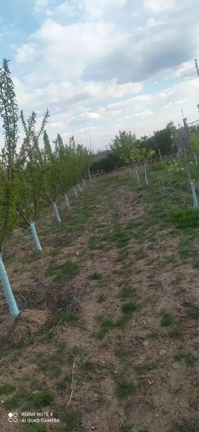 باغ نزدیک غریب کش