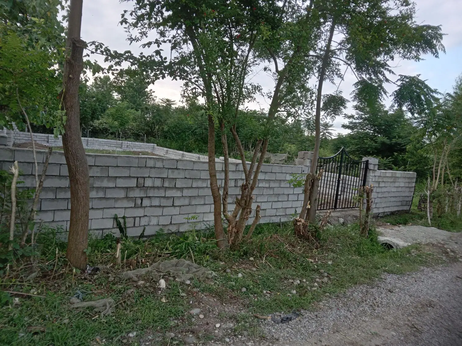 زمین مسکونی  داخل طرح هادی
