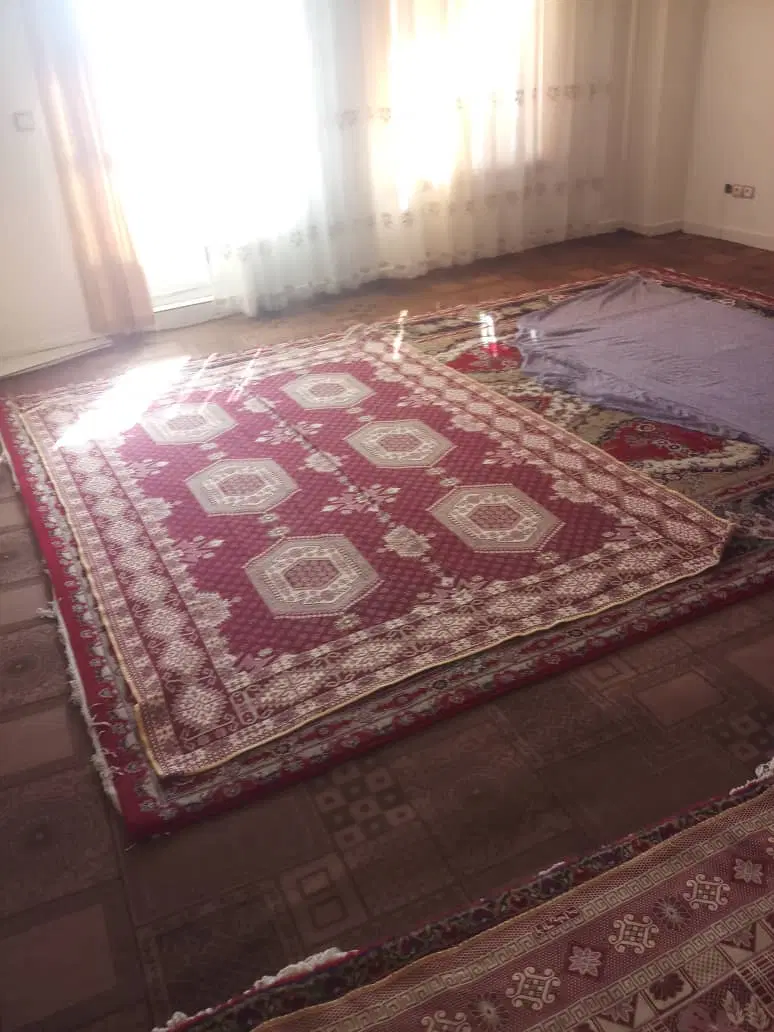 اجاره یک واحد آپارتمان دانشجویی(همخونه خانم)