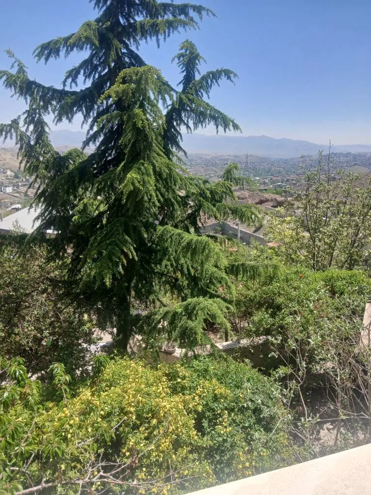 ویلای فول لاکچری بهترین جای بلوار کشاورزی