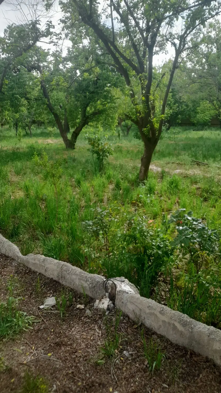فروش ۵۰۰ متری میدان نماز