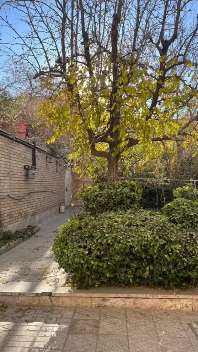 ویلایی ۲۰۶ متری دونبش