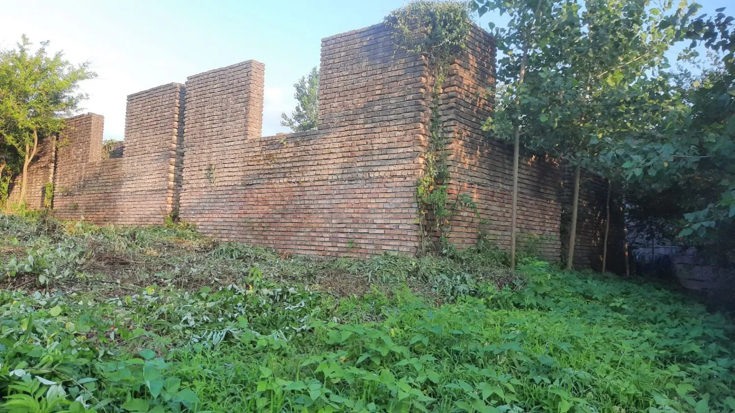 زمین باغی