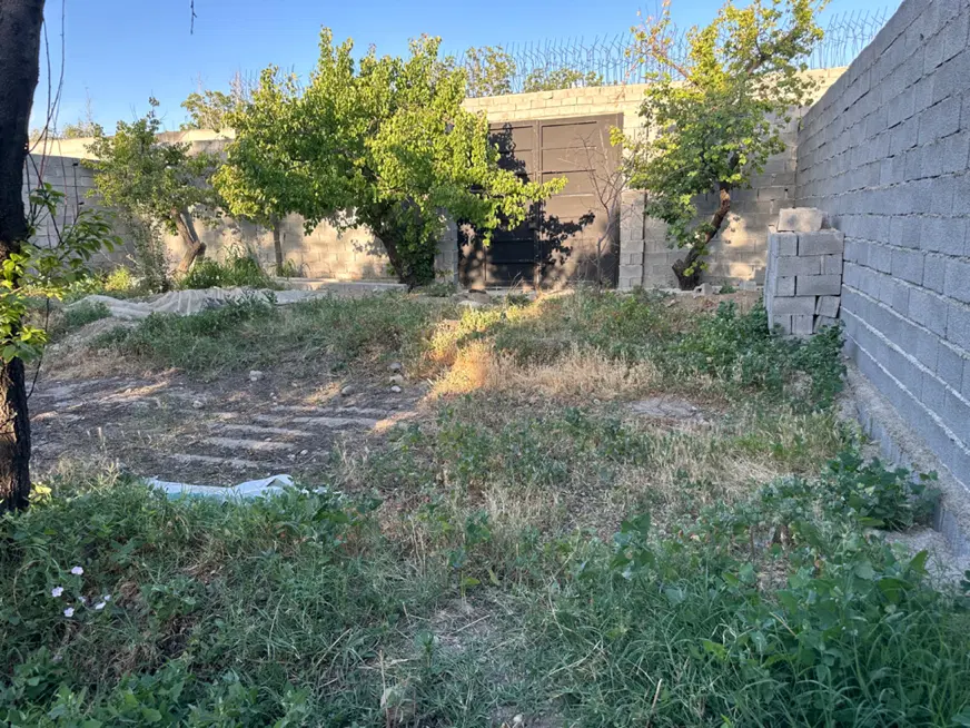 باغچه شهرکی بر ۱۳ در ۲۵