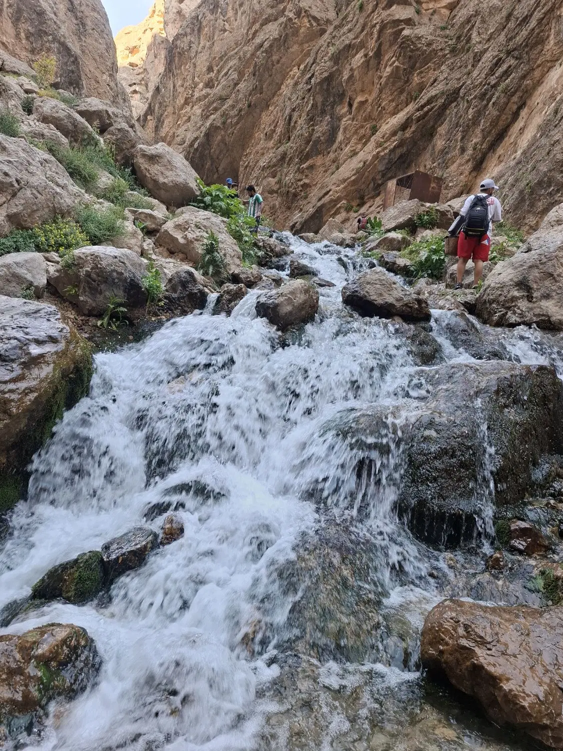 1200متر کاسبی