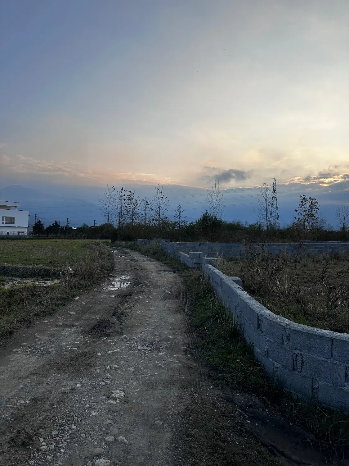 زمین باغی ۲۵۶ متر