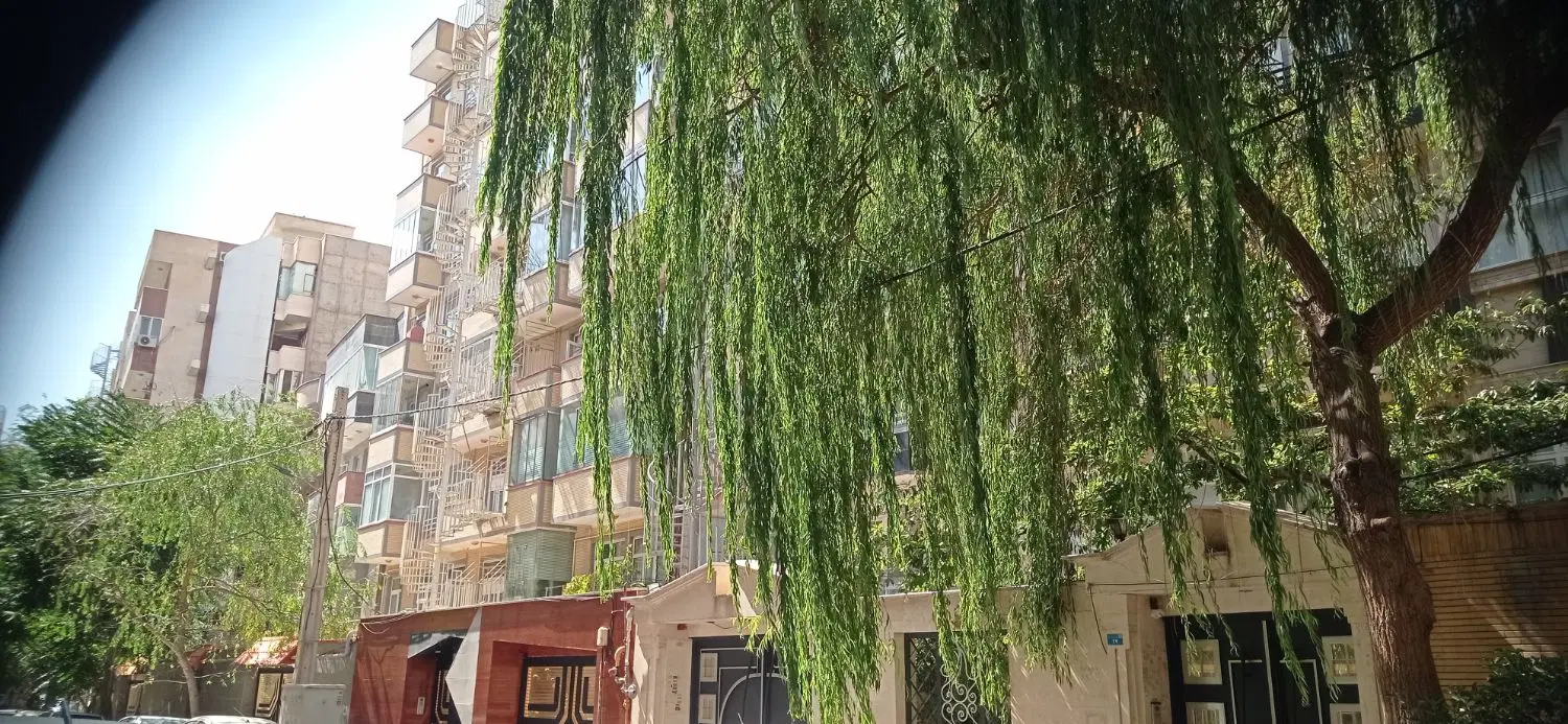 رهن و اجاره مرزداران
